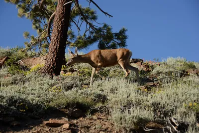 DSC_3547 (Large).JPG